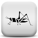 APK Crickets