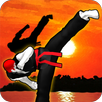 Taekwon Hero APK