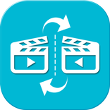 Mirror Video