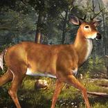 Deer Hunting Challenge 2016 ™
