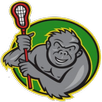 Lacrosse Shootout APK