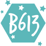 Camera B613 HD