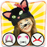 Cat Face