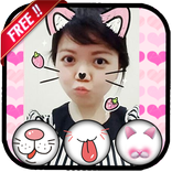 Cat Face
