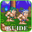 Guide For Joe & Mac Caveman APK
