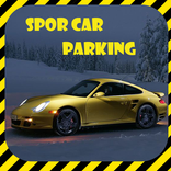 Spor araba park et