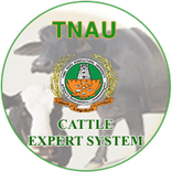 Cattle Expert System
