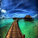 Nature Landscape Photography APK