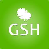 GSH