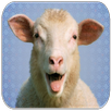 Sheep Sounds APK