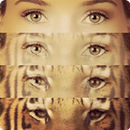 Insta Eyes with Collage APK