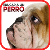 Cómo Educar a un Perro APK