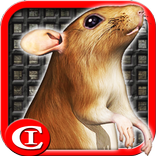 Sewer Rat Run! 3D