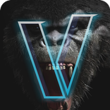Gaming V