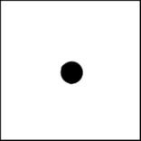 Rotate Dice