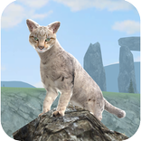 Clan of Cats