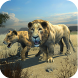 Clan of Lions