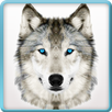 Ultimate Wild Wolf Simulator APK