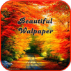 Beautiful Walpaper APK