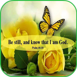 Bible Verses