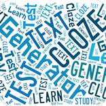 Cloze Test Generator Lite