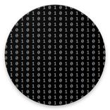 Code 0101