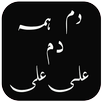 Dam Hama Dam Ali Ali APK