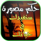 حكم مصورة 2016