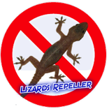 Anti Lizard Prank