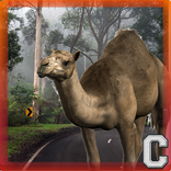 Camel Hump Simulator