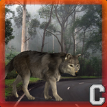 Old Forest Wolf Simulator