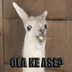 Ola ke ase APK