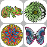 Desenhos para Colorir Adultos
