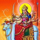 Kutch Kadva icon