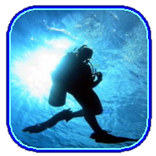Dive