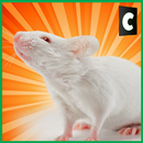 City Mouse Simulator-APK