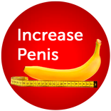 Increase Penis Size