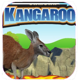 Crazy Kangaroo 02