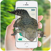 Crocodiles attack on screen prank APK