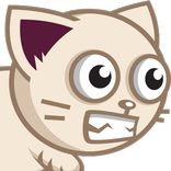 Runner Gravity Cat