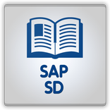 Learn SAP SD