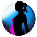 دليل الحامل APK