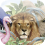 Animal Sound Effects Free