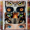 How to Draw Animal Eyes APK
