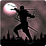 ”Ninja Dark Knight