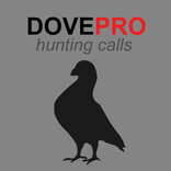 Dove Calls for Hunting