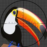 Shoot All The Birds