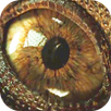 Guide For -Jurassic World 2- Gameplay APK