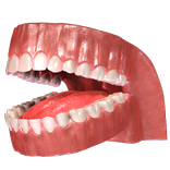 VR Dentist - A Dental App