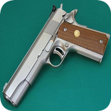 Gun Colt M1911